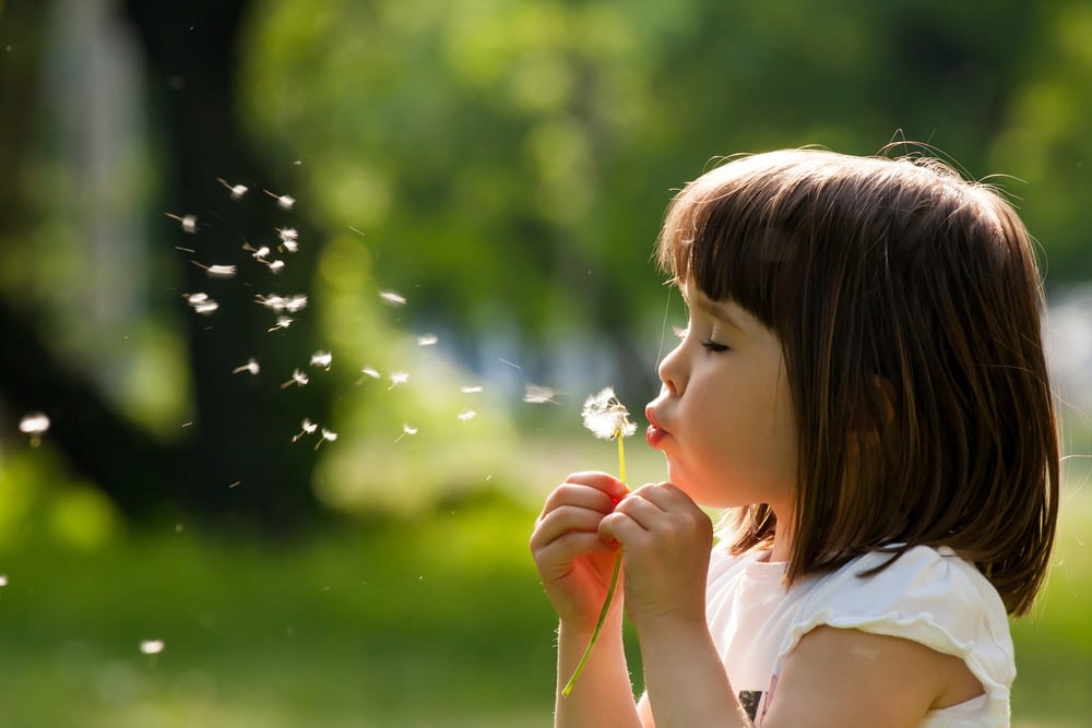 Beautiful,Child,With,Dandelion,Flower,In,Spring,Park.,Happy,Kid